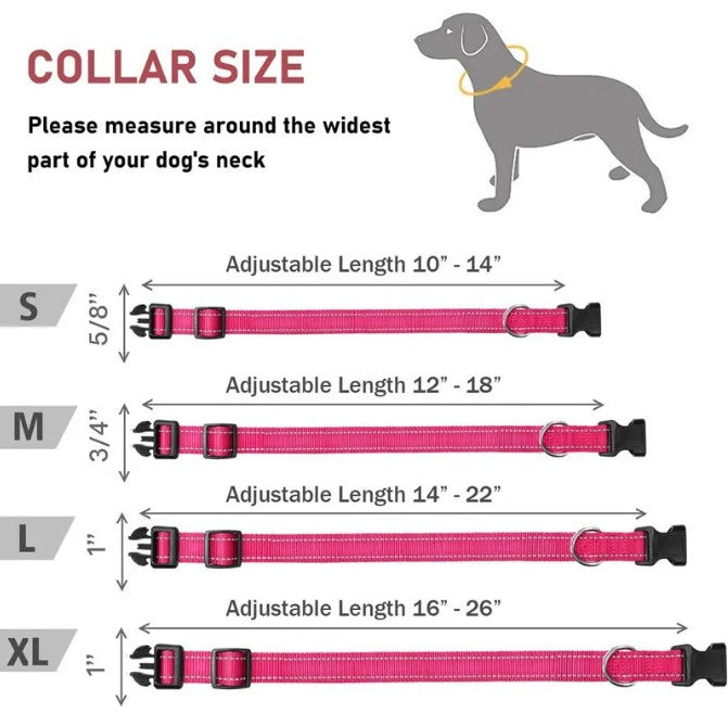 Harness-Strap Adjustable Collar