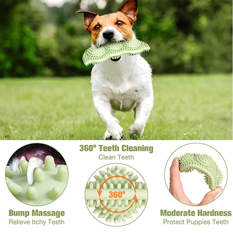Bounce Dental Chew Ball