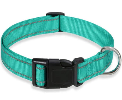Harness-Strap Adjustable Collar