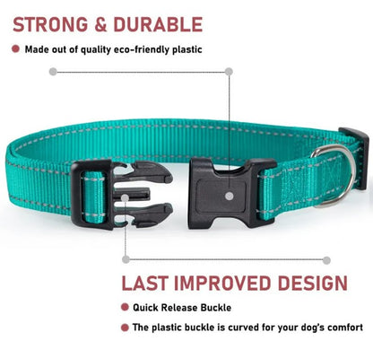 Harness-Strap Adjustable Collar