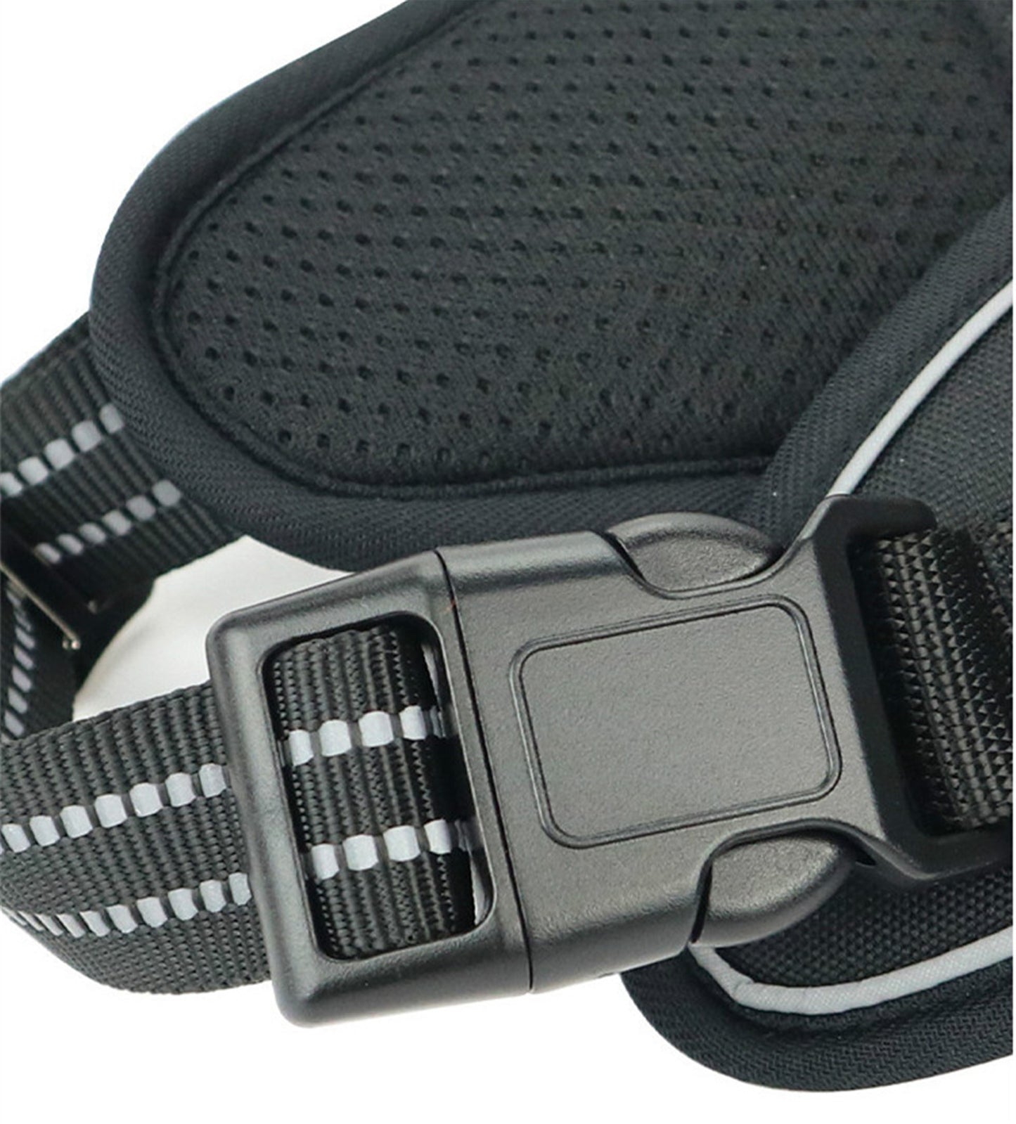 TrailGuide Handle Harness