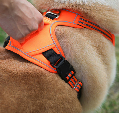 TrailGuide Handle Harness