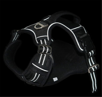 TrailGuide Handle Harness