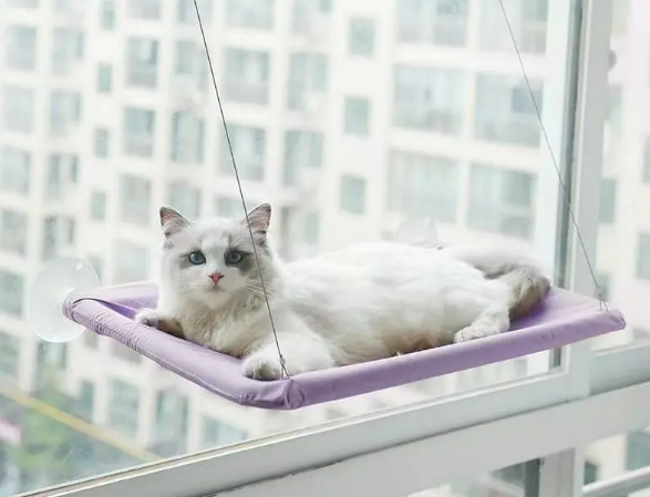 Suspend Cat Hammock