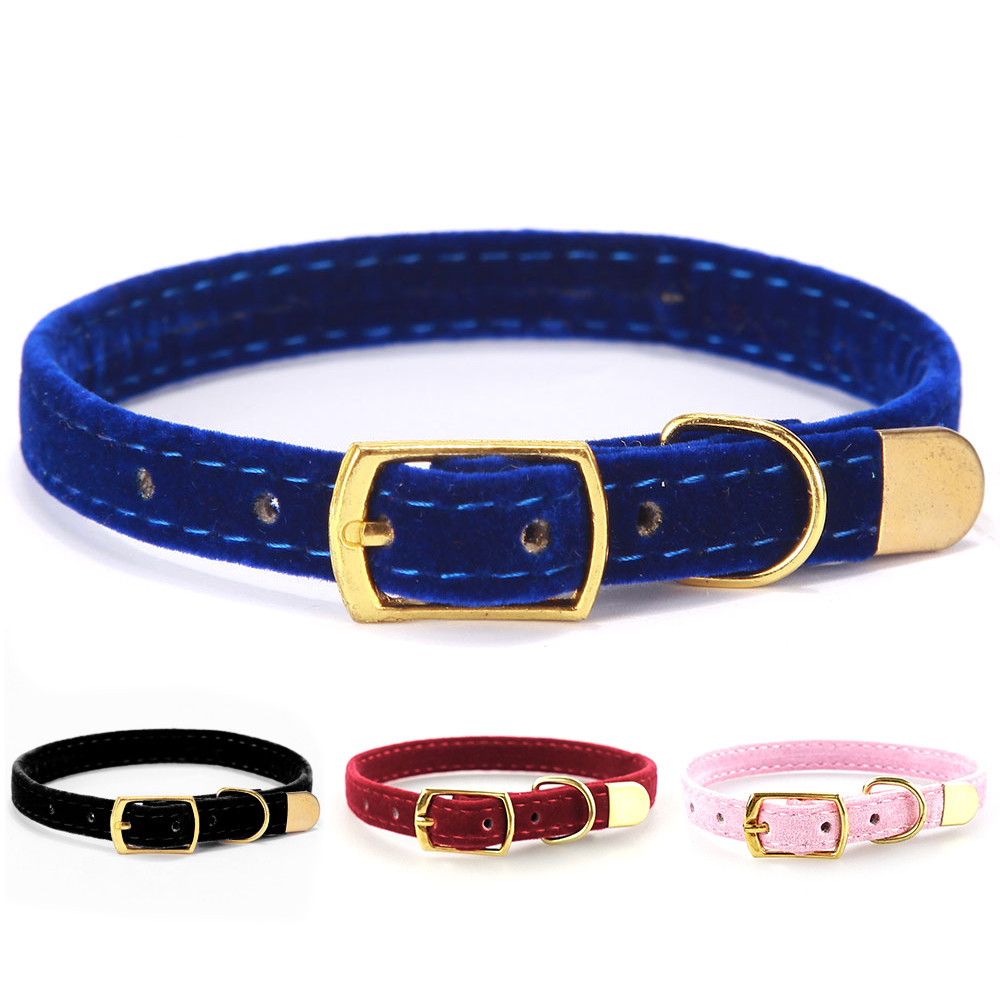 Belmont Breakaway Cat Collar