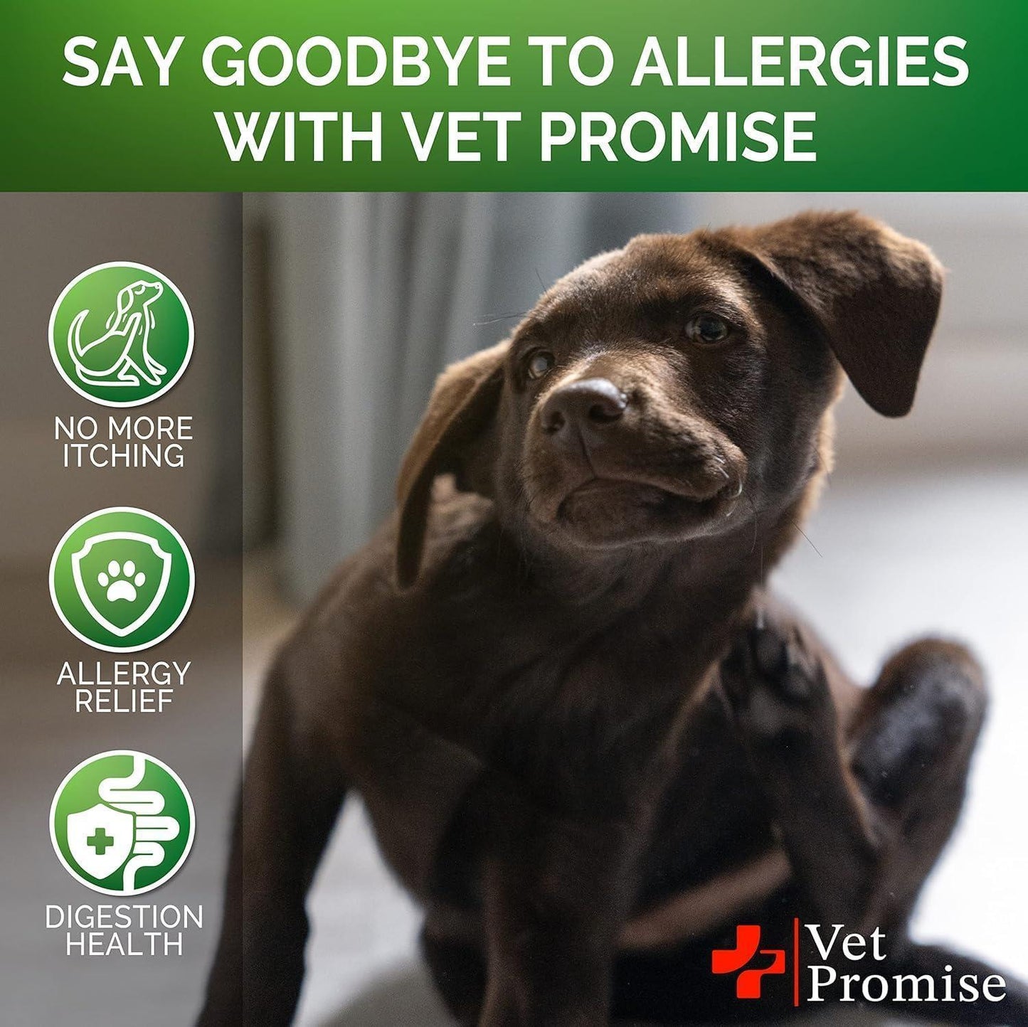 Soothe Skin & Coat Chews