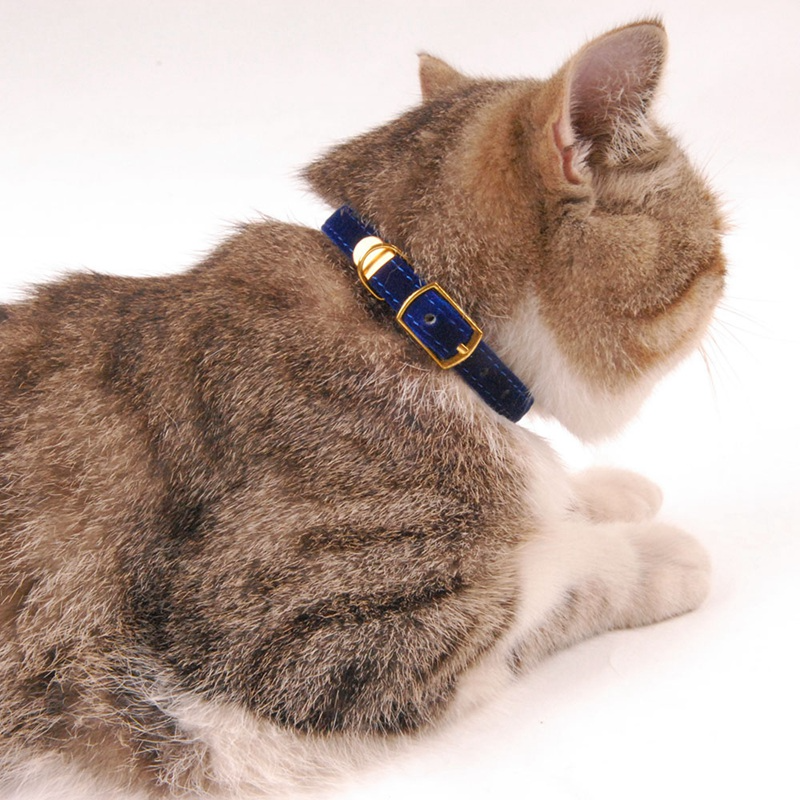 Belmont Breakaway Cat Collar