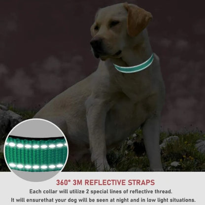 Harness-Strap Adjustable Collar
