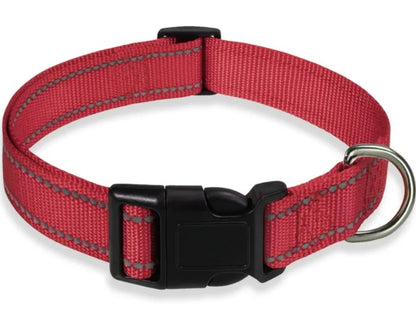 Harness-Strap Adjustable Collar