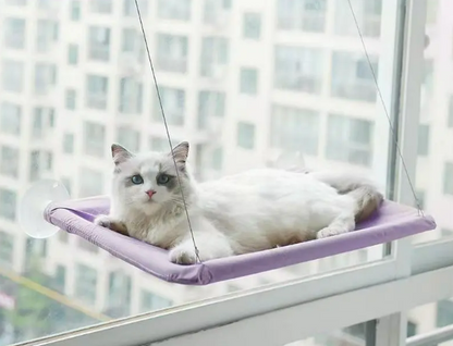 Suspend Cat Hammock