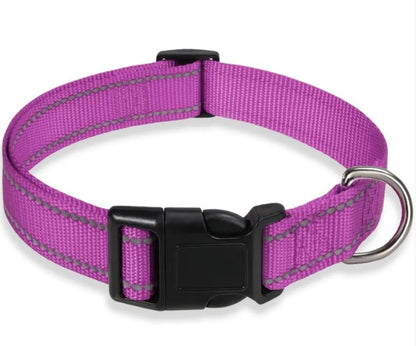 Harness-Strap Adjustable Collar